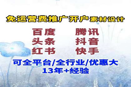 网络推广中的竞价广告：成功案例解析